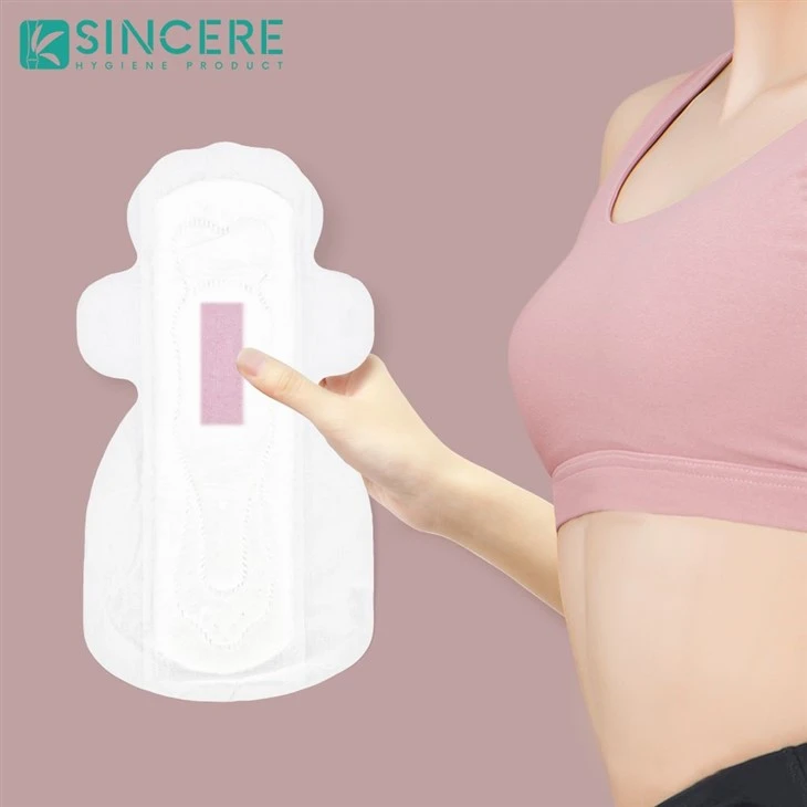 Servitele sanitare en-gros